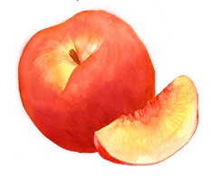 Natural Peach