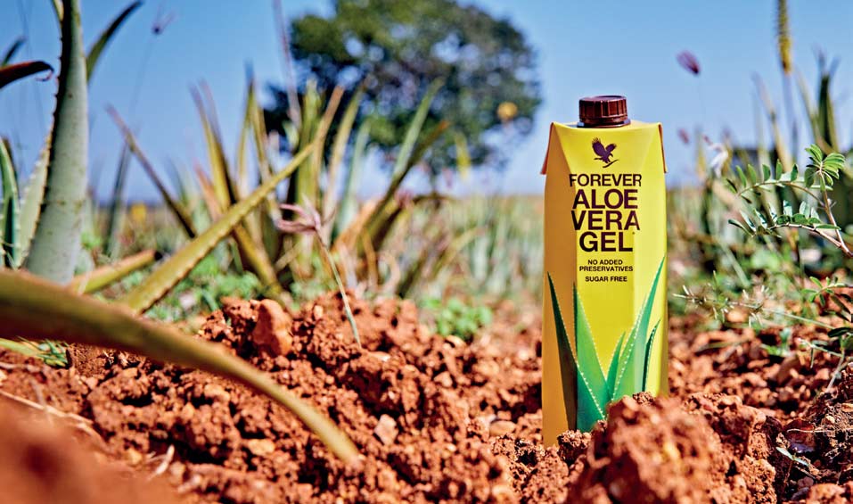 Forever Living Aloe Vera Gel. Aloe Vera Products Review